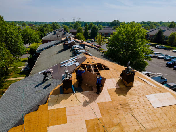 Best Storm Damage Roof Repair  in Jamestown, OH